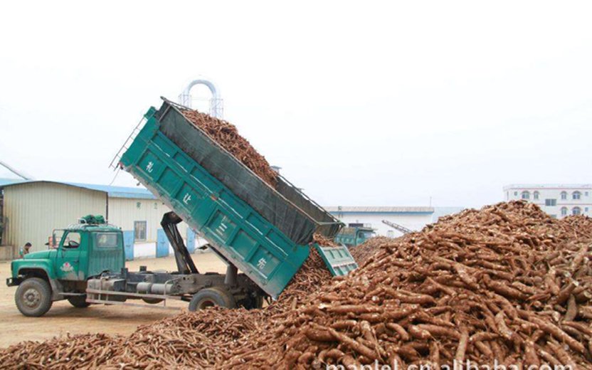 Thailand: Cassava Waste Management