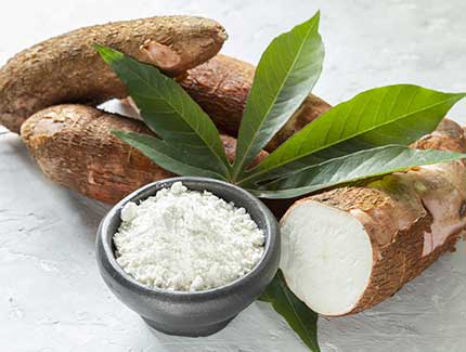 Thailand: Cassava Starch Production | ASEAN Cassava Centre