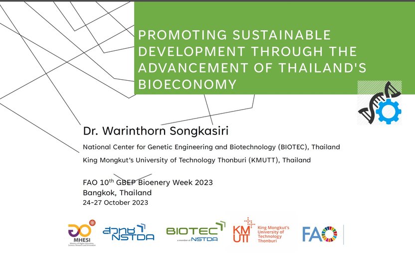 10th GBEP Bioenergy Week: ASEAN Cassava Centre's Contributions