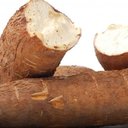Bill & Melinda Gates Grant Awarded to Boost Cassava Production