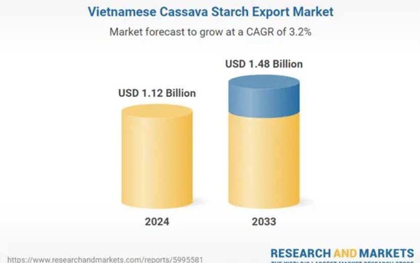 Growth and Potential of Vietnam's Cassava Starch Export Market