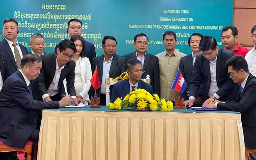 Cambodia-China sign MOU to boost Cambodian cassava exports to China