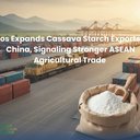 Laos Expands Cassava Starch Exports to China, Signaling Stronger ASEAN Agricultural Trade