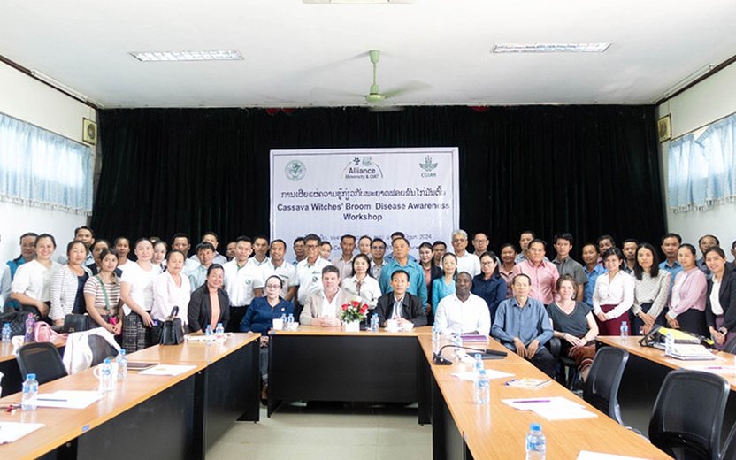 CIAT and Plant Protection Center Enhance Awareness on Cassava Disease Management in Laos