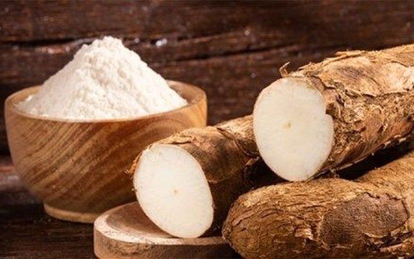 Cassava becomes top Laos agricultural export, US$250mil income in first six months of 2022