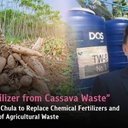 Converting Cassava Waste into Organic Fertilizer for Sustainable Agriculture
