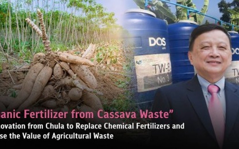 Converting Cassava Waste into Organic Fertilizer for Sustainable Agriculture