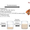 Transforming Cassava Waste into Prebiotic Fiber: A Novel Resistant Maltodextrin (RMD) from Cassava Pulp