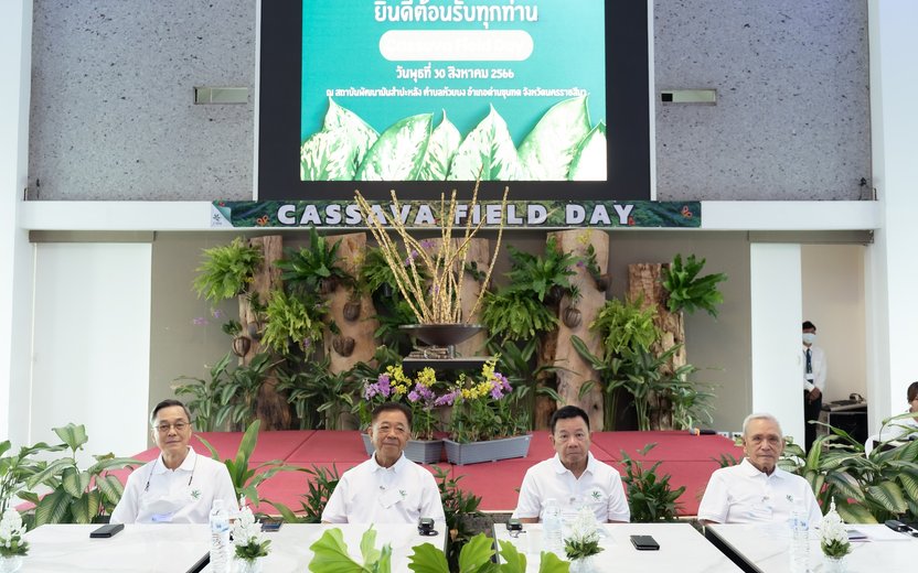 Cassava Field Day: Showcasing Disease-Resistant Varieties