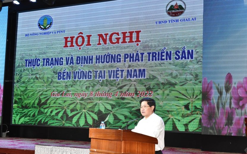 Orientation for sustainable cassava development in Vietnam
