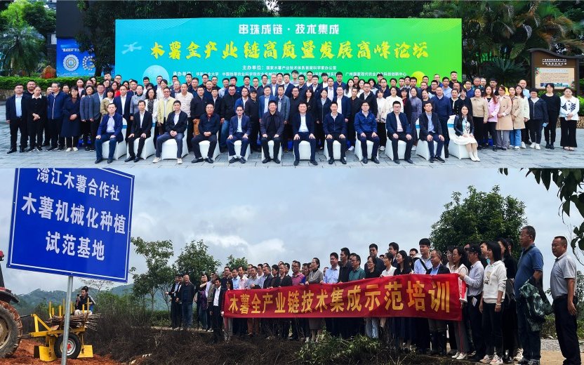 2023 Kick-off Meeting of CARS and the "Beading Chain and Technology Integration: High-quality Development Summit Forum of the Cassava Industry Chain" Held in Guangzhou.