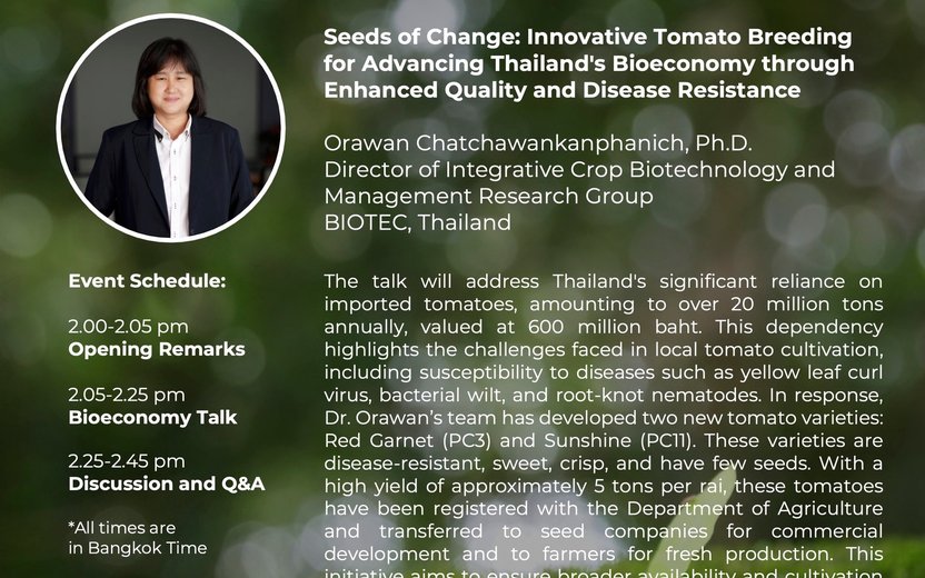 How innovative tomato breeding is advancing Thailand's bioeconomy through enhanced quality and disease resistance.