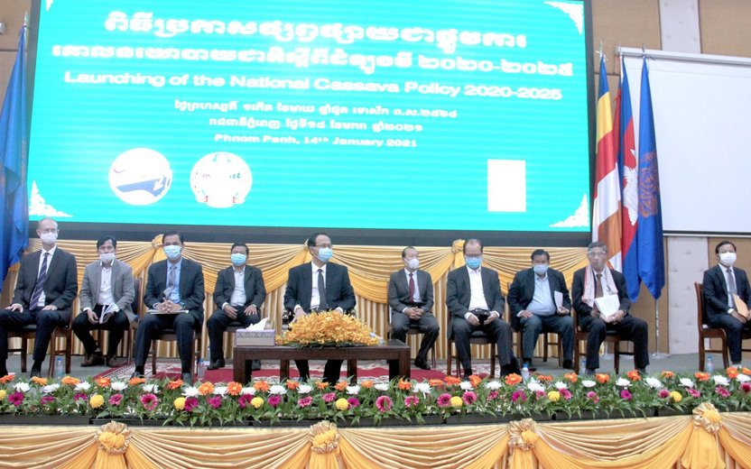Cambodia's Cassava Policy: A Path to Economic Growth and Sustainability