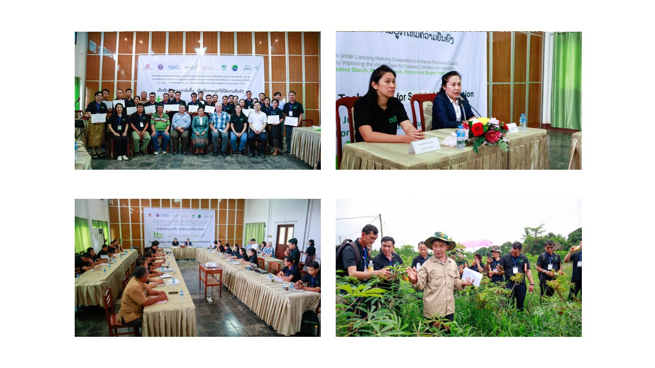 Training Program Phase Ii Cassava Cultivation In Lao Pdr Asean Cassava Centre 6282