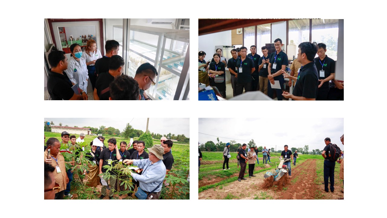 Training Program Phase Ii Cassava Cultivation In Lao Pdr Asean Cassava Centre 6716